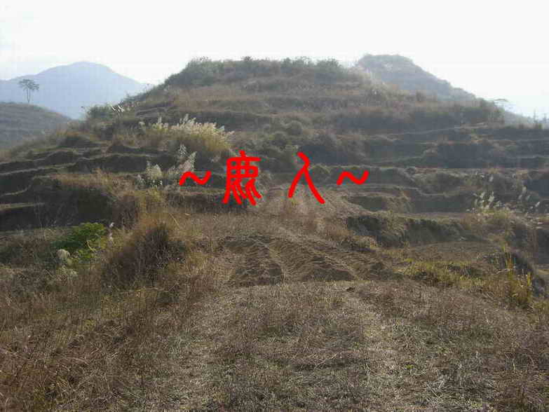 看束脈入首照.JPG