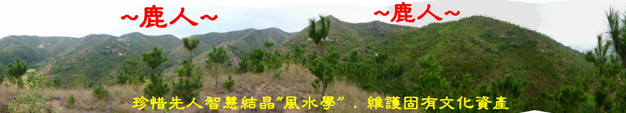 看龍那裡來.JPG