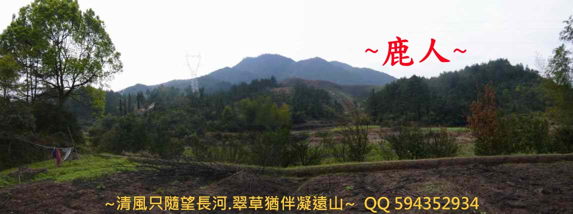 穿過水1_4.JPG