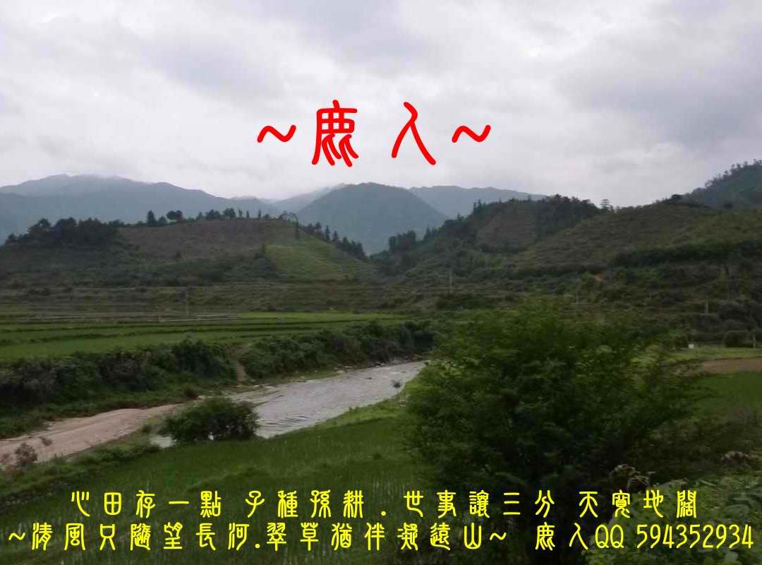 俺來敲金鐘_02.JPG