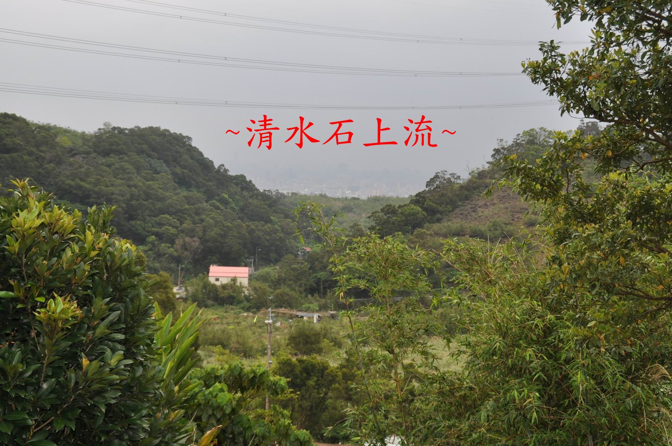 案.jpg