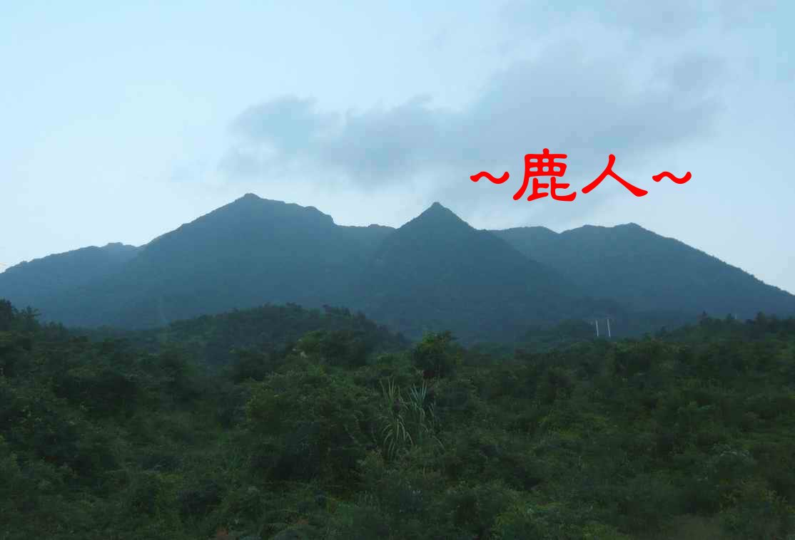 通天筆.JPG