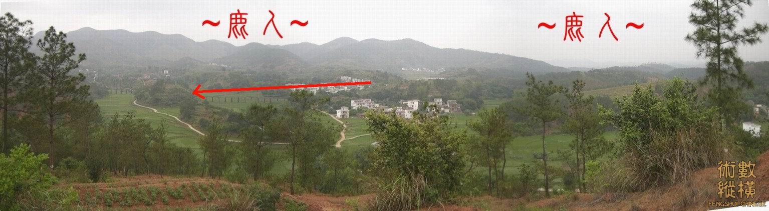 鹿.jpg