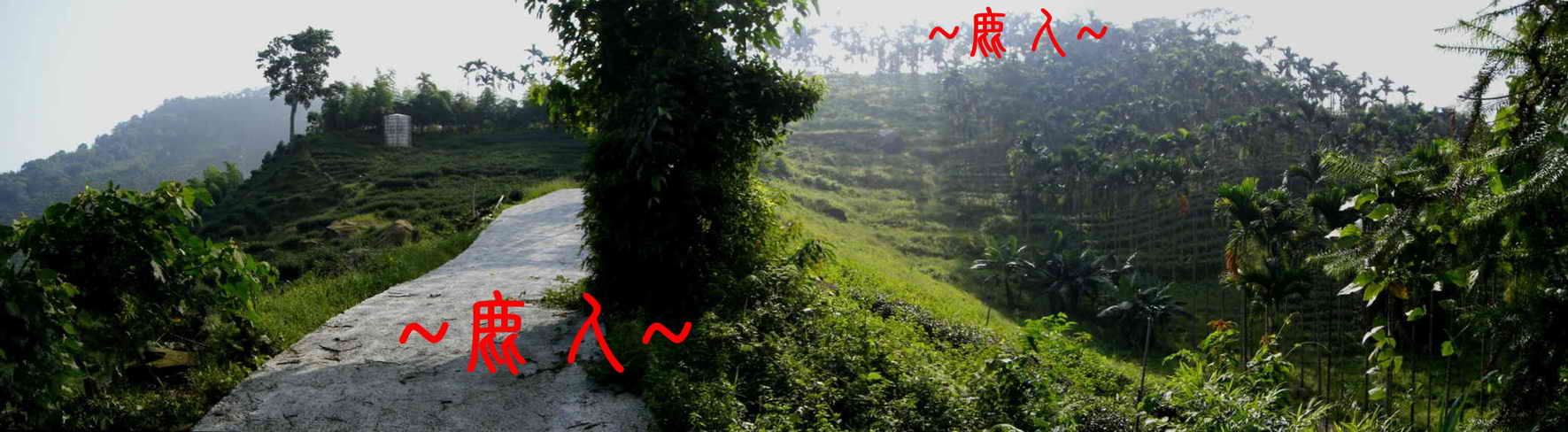 鹿人心鄉土情 8.JPG