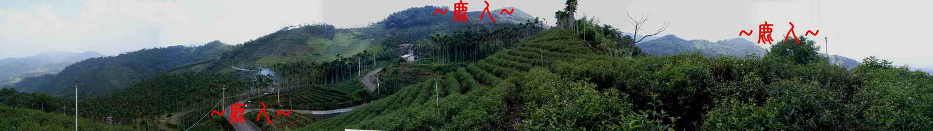 鹿人心鄉土情 7.JPG