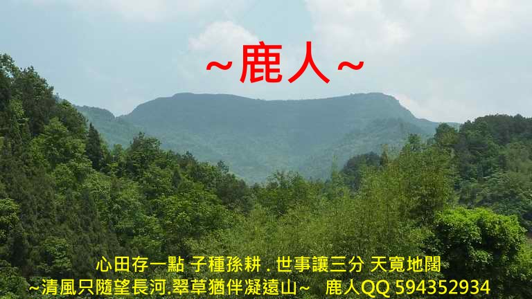 追_01.JPG