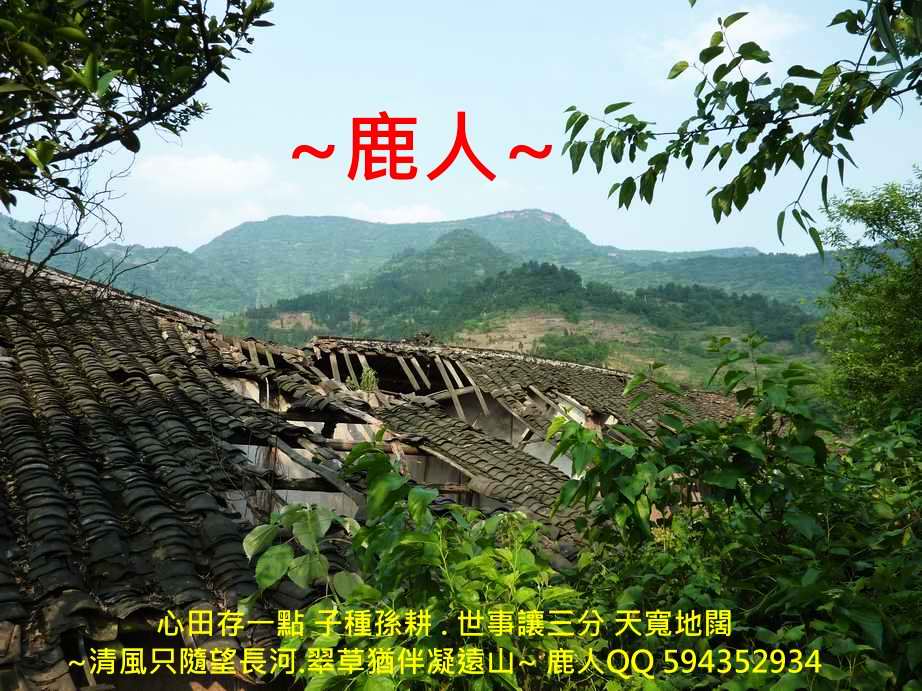 追_02.JPG