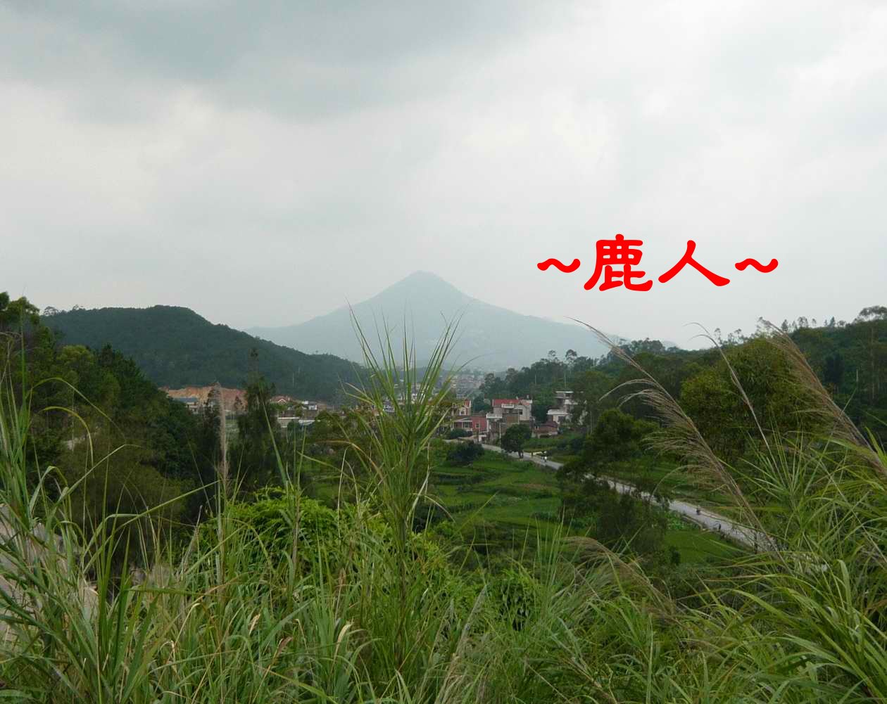 追著她_1.JPG
