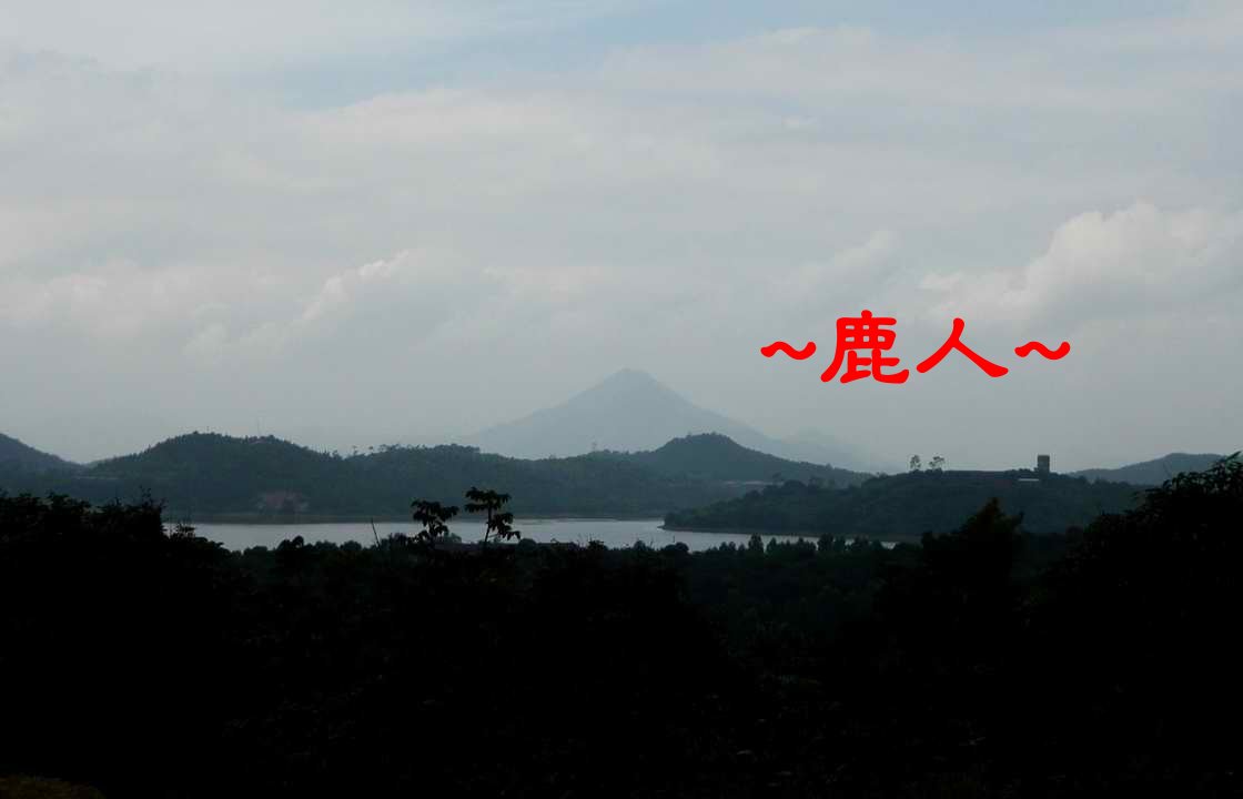 追著她_3.JPG