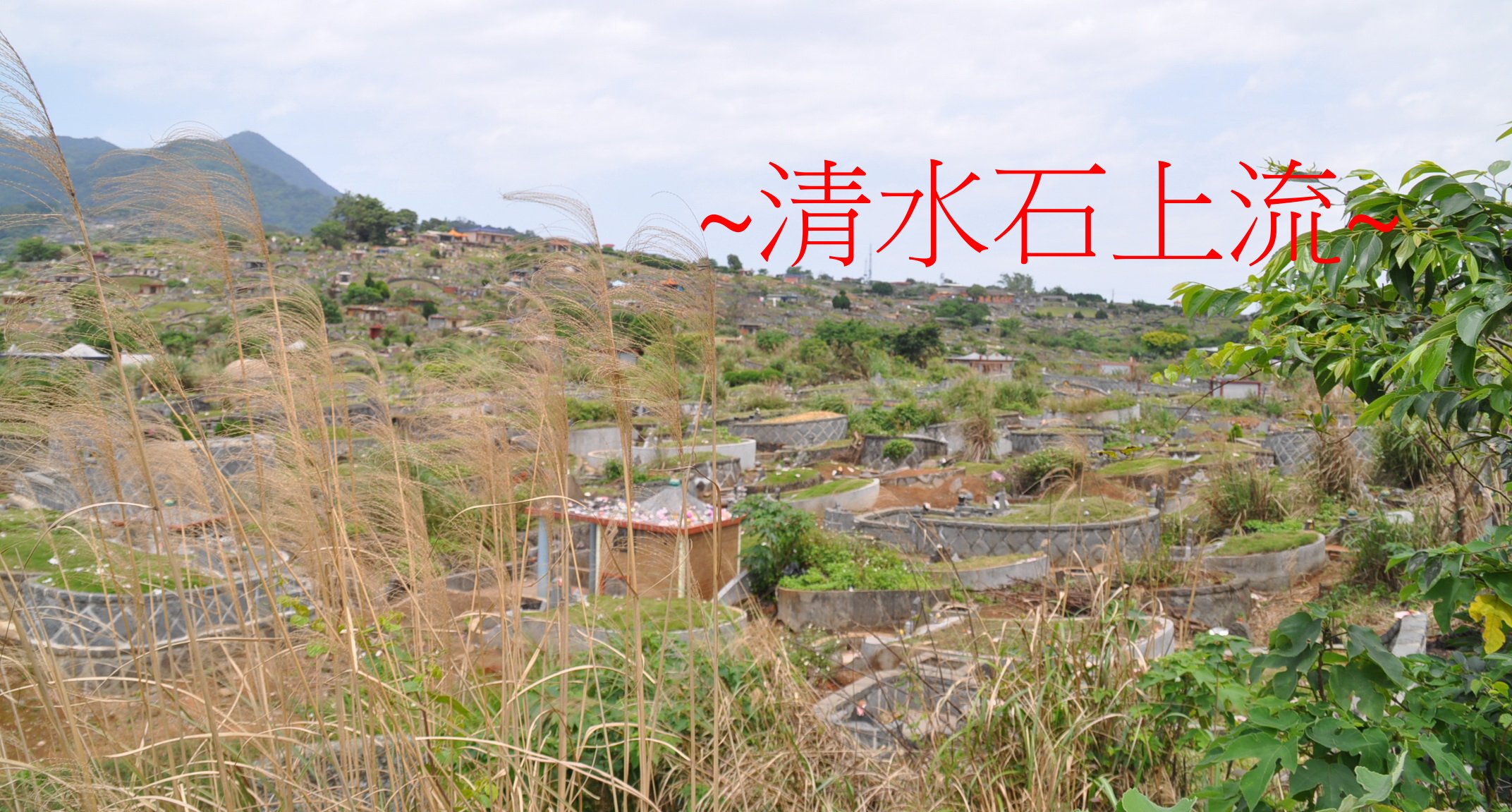 乾龍_右側.jpg