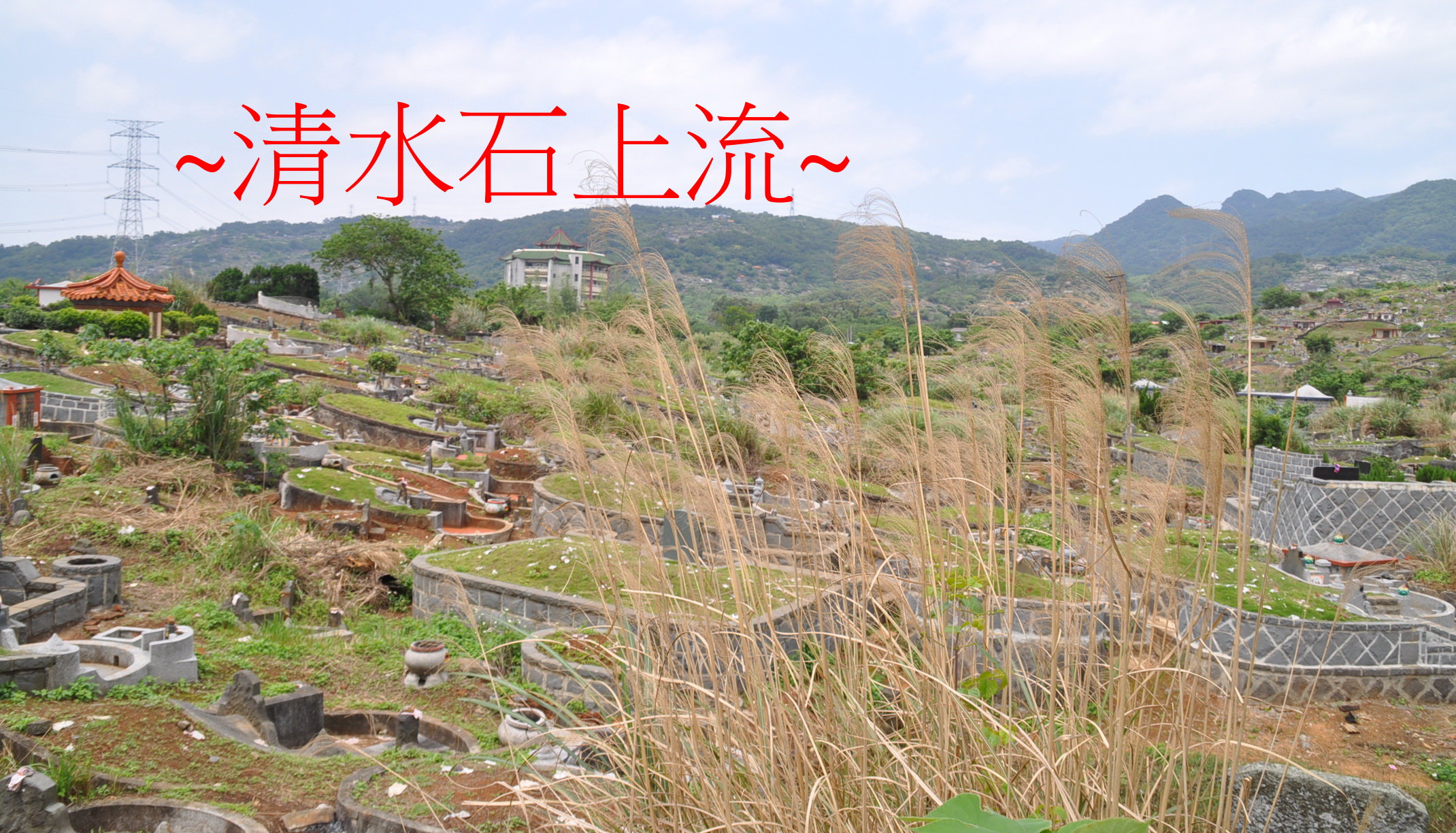乾龍_左側.jpg