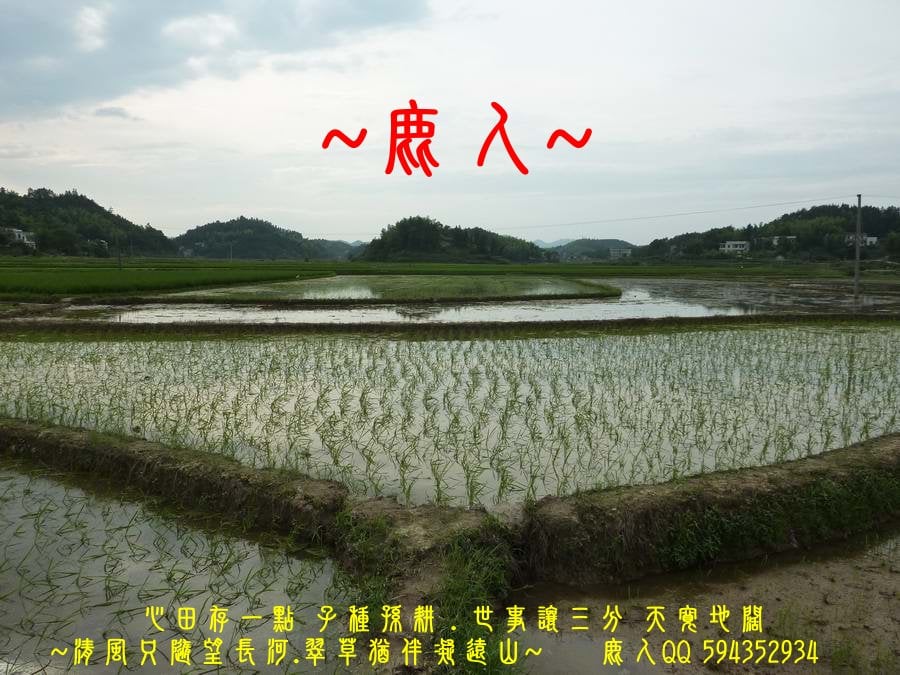 馬家祖_004.JPG