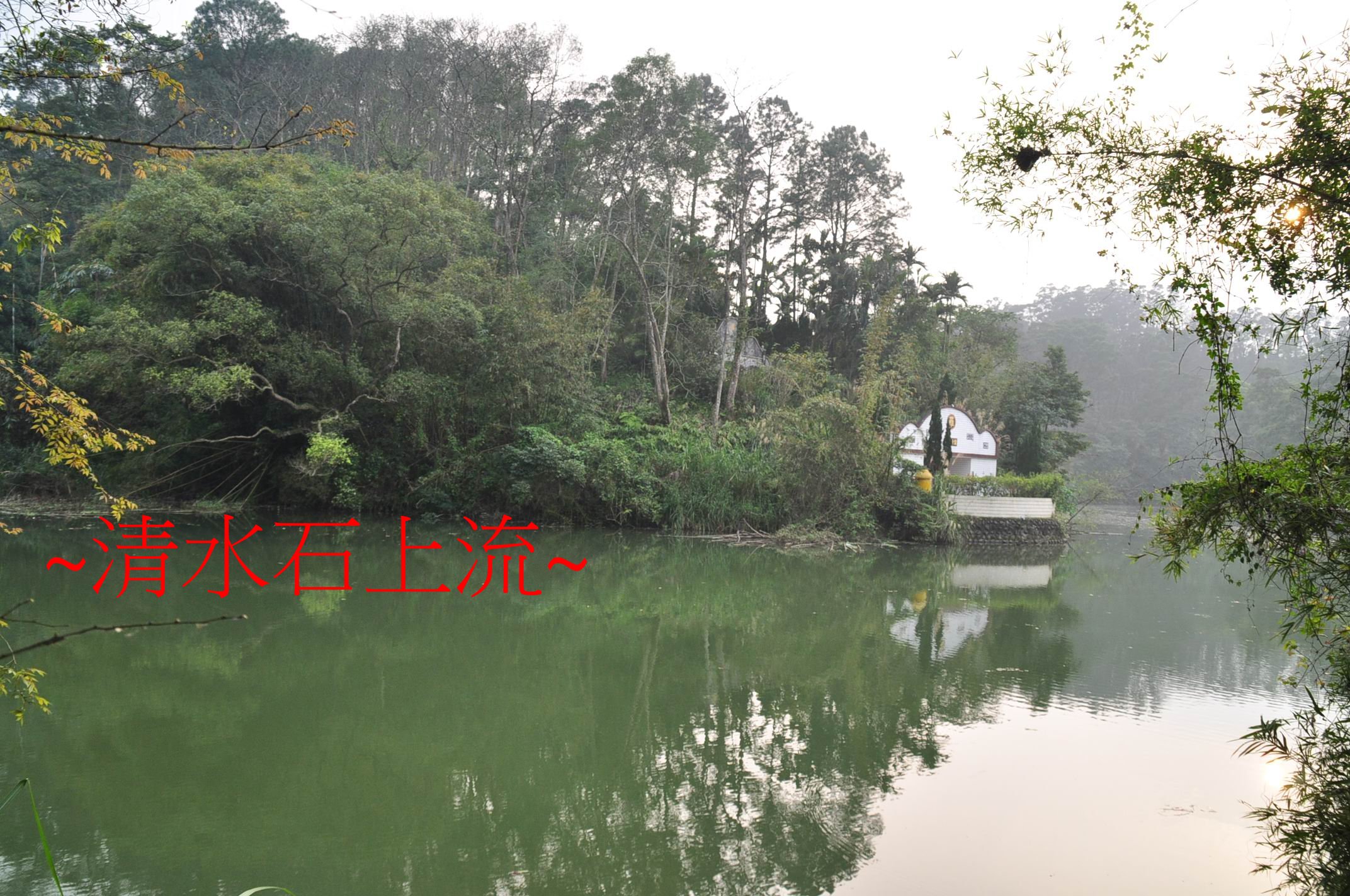 側腦.jpg
