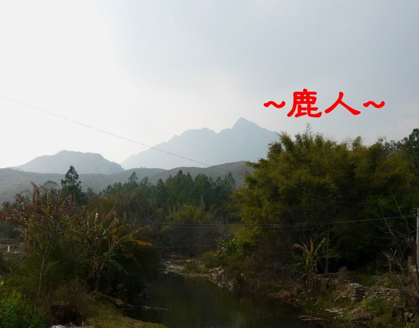 清晨來讀你3.JPG
