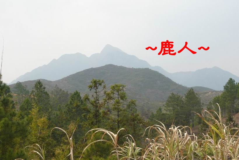 清晨來讀你2.JPG