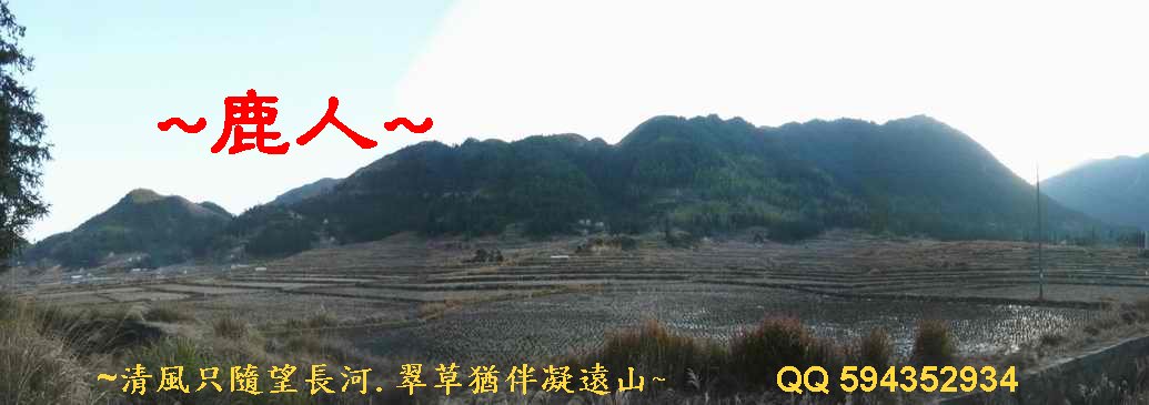 猛回頭_02.JPG