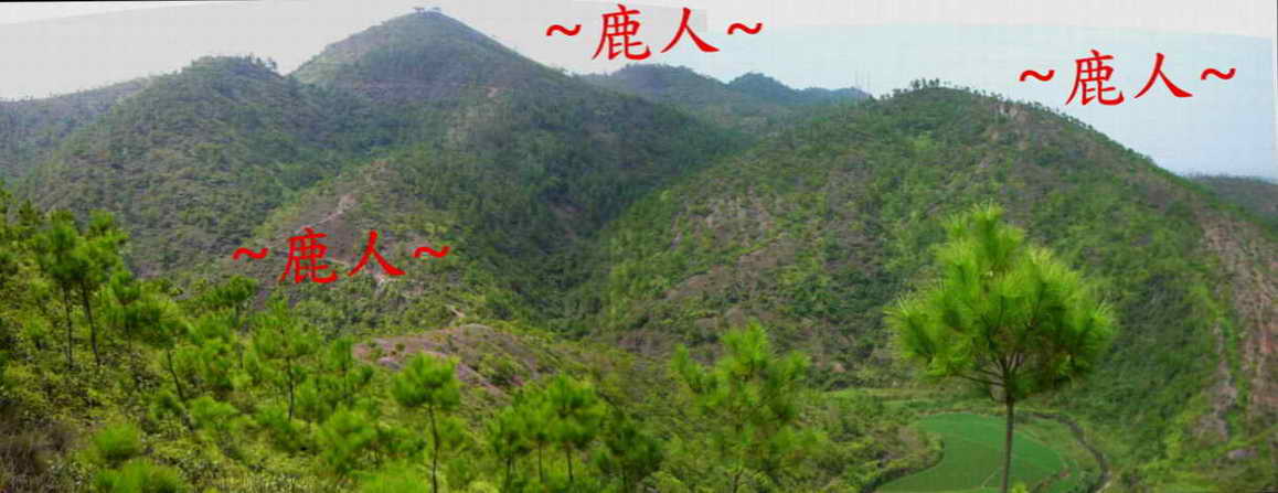 猛龍過峽458_6.JPG