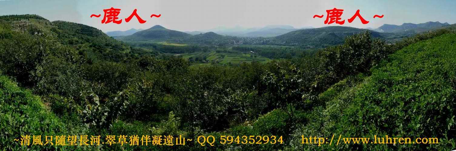 當_003.JPG