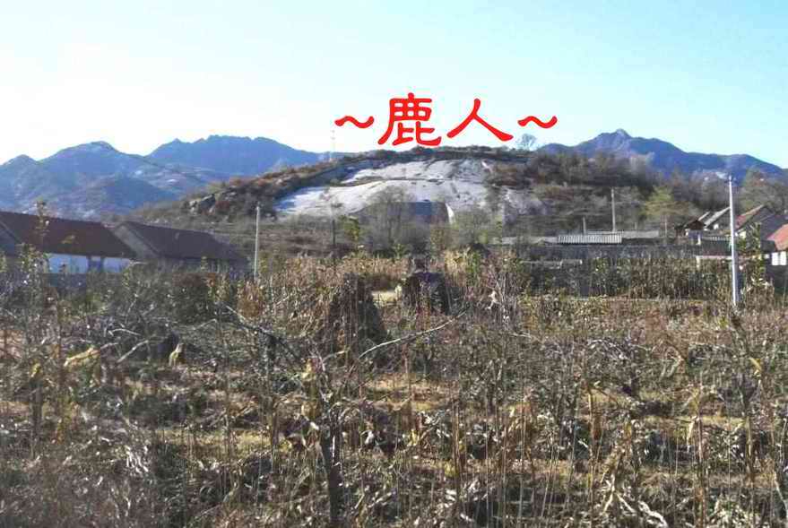 想飛.JPG
