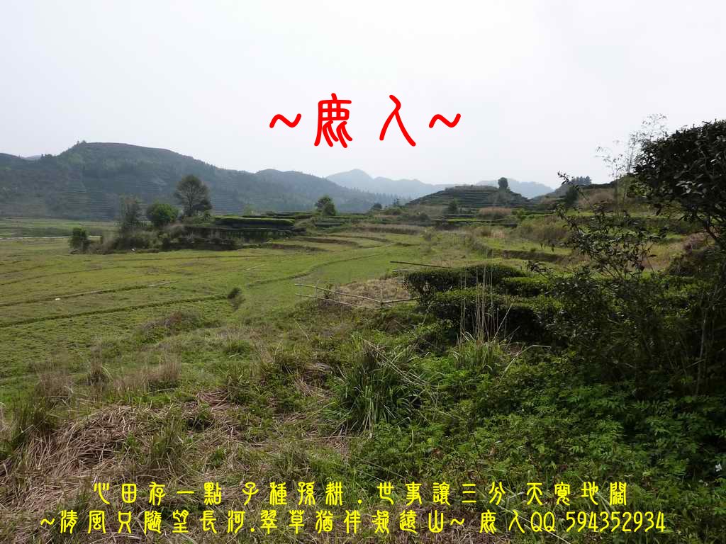 想飛4.jpg