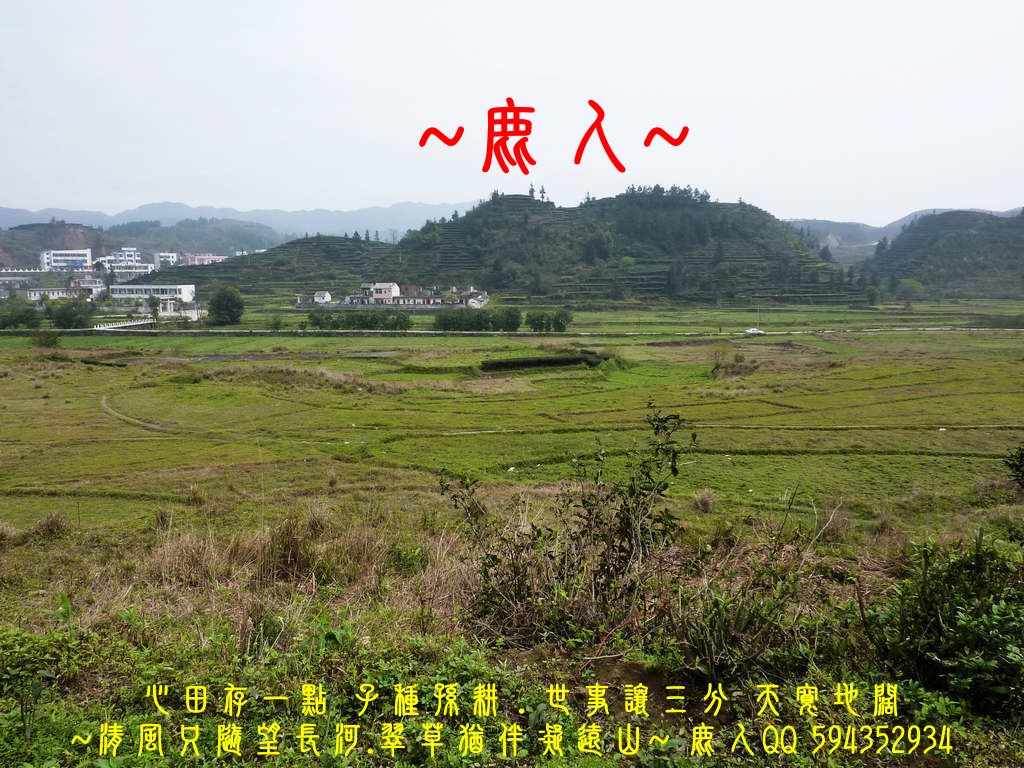 想飛6.jpg