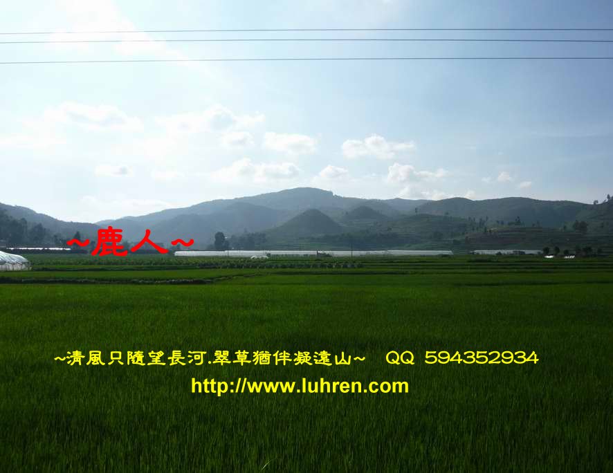 滇池畔_872.JPG