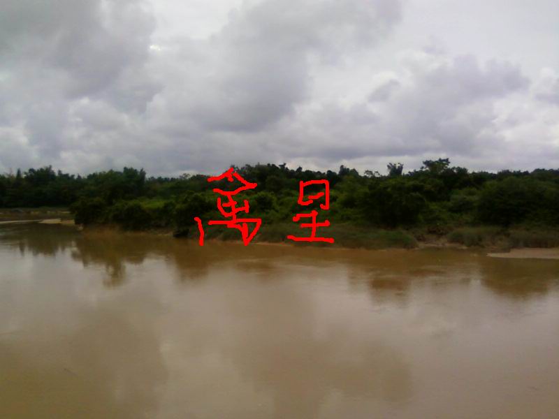 照片-0091_1.jpg