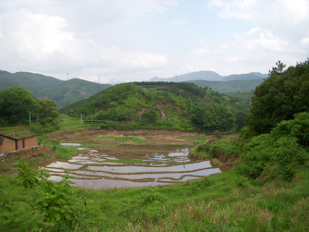 照片 006.jpg