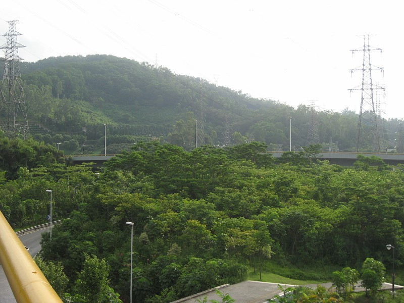 照片 014a.jpg