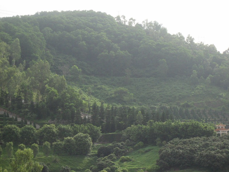 照片 035a.jpg