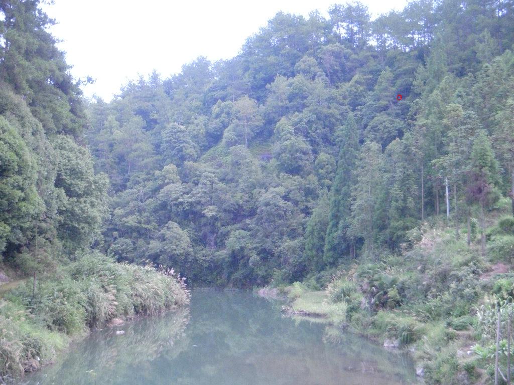 照片 067.jpg