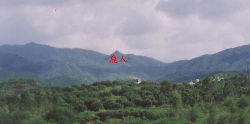 朝案_3.jpg