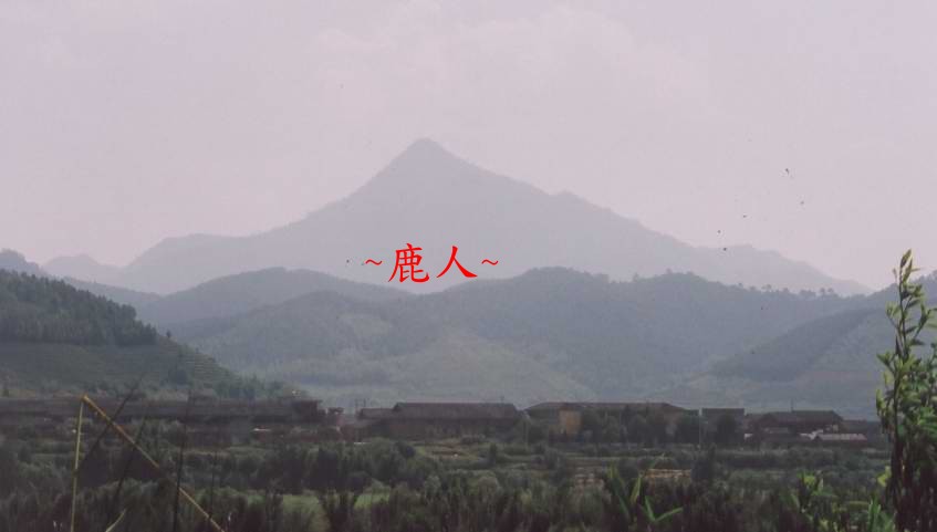 朝案.jpg