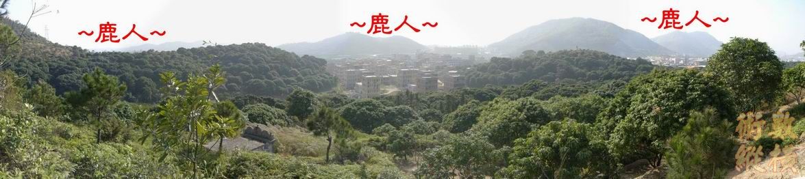 朝堂1.JPG
