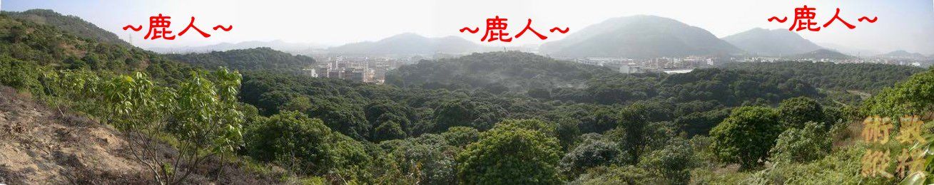 朝堂2.JPG