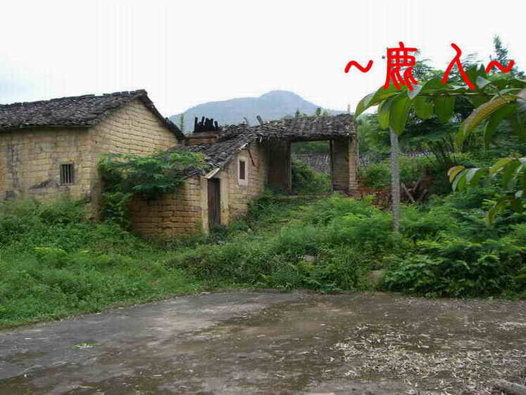 等待7.JPG