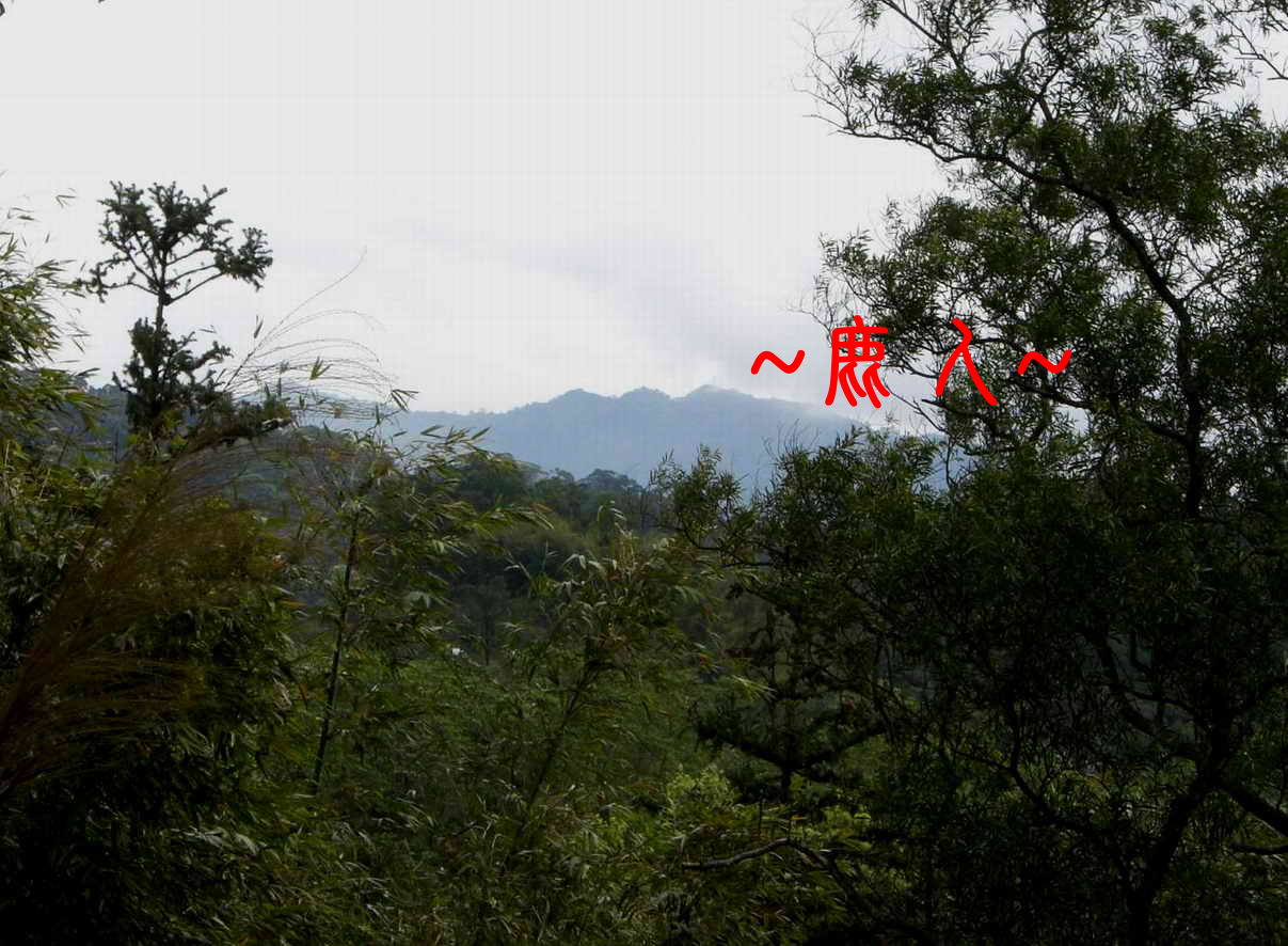 筆架_26.JPG