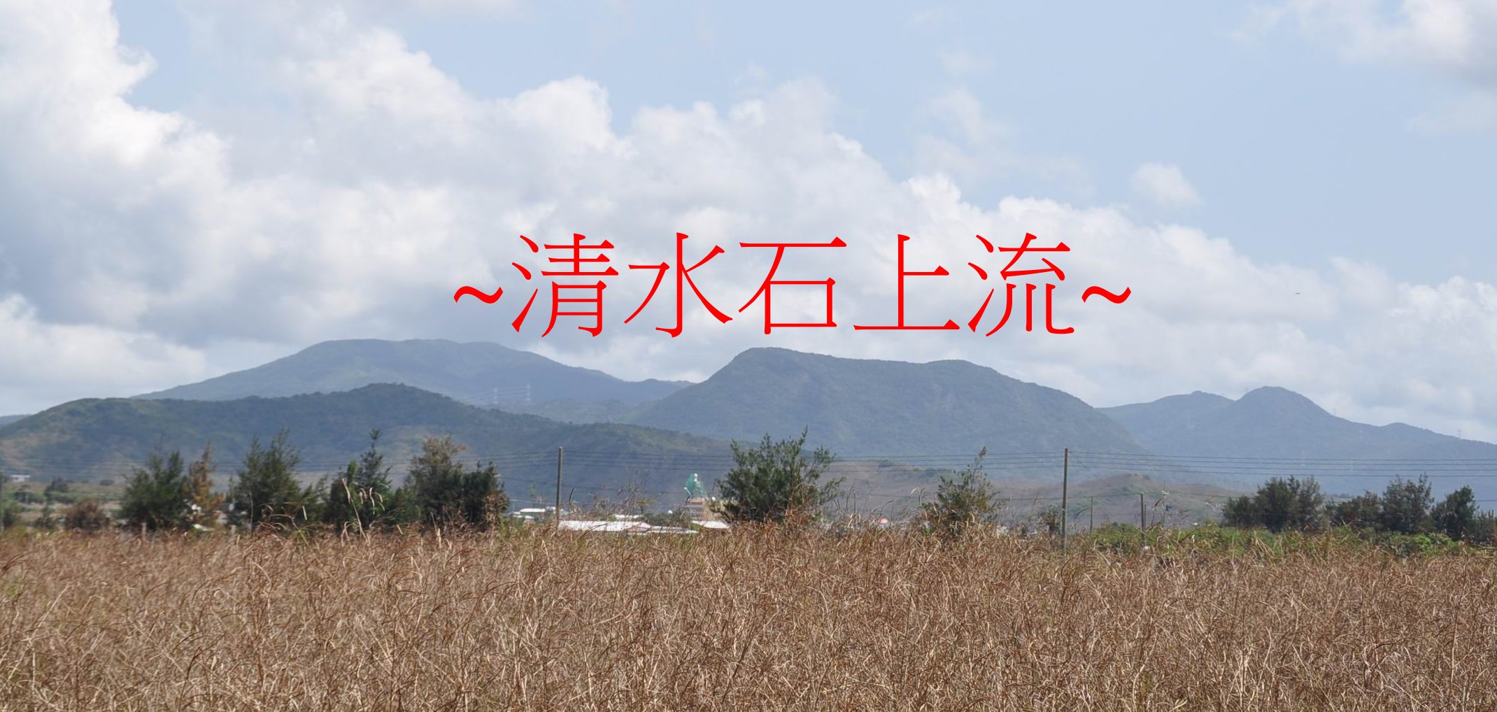 象群.jpg