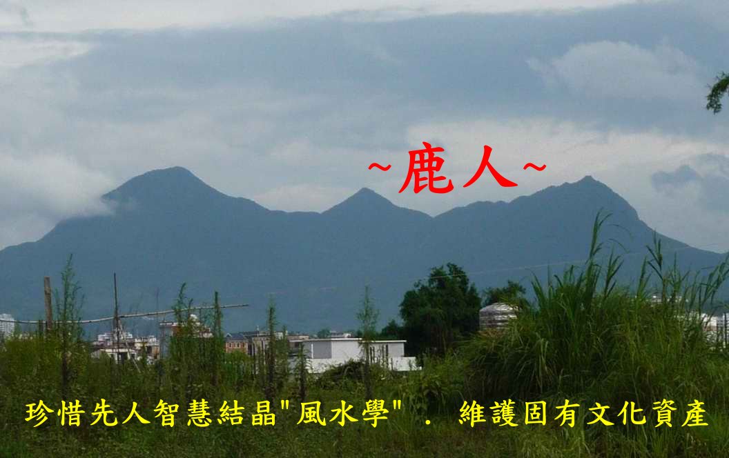 雄鷹振翅_079.JPG