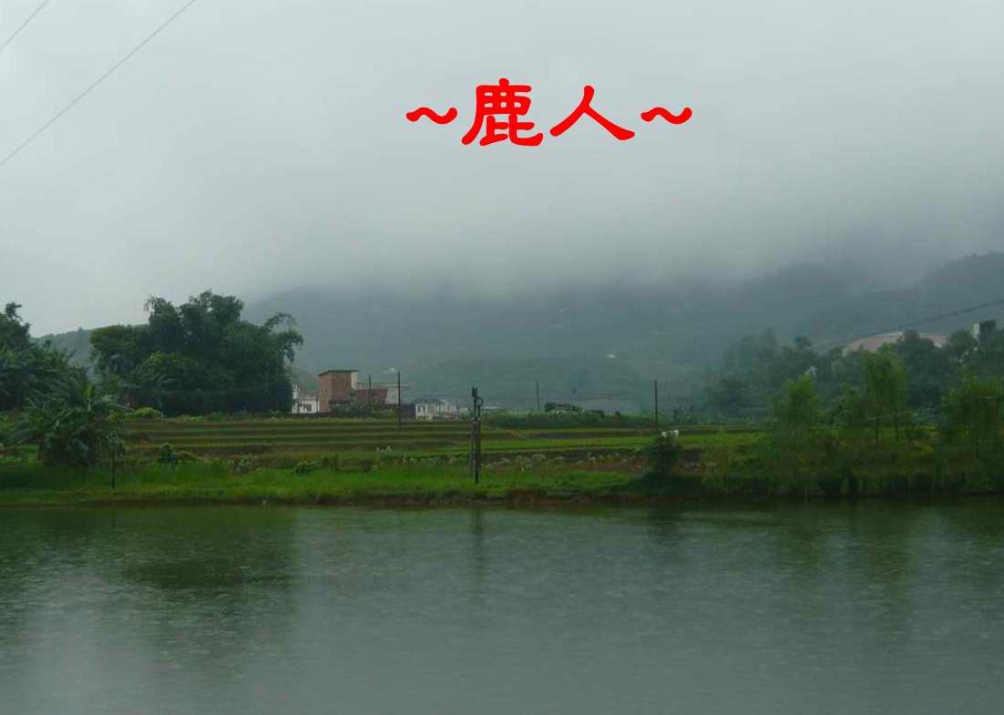 雲深不知處_1.JPG