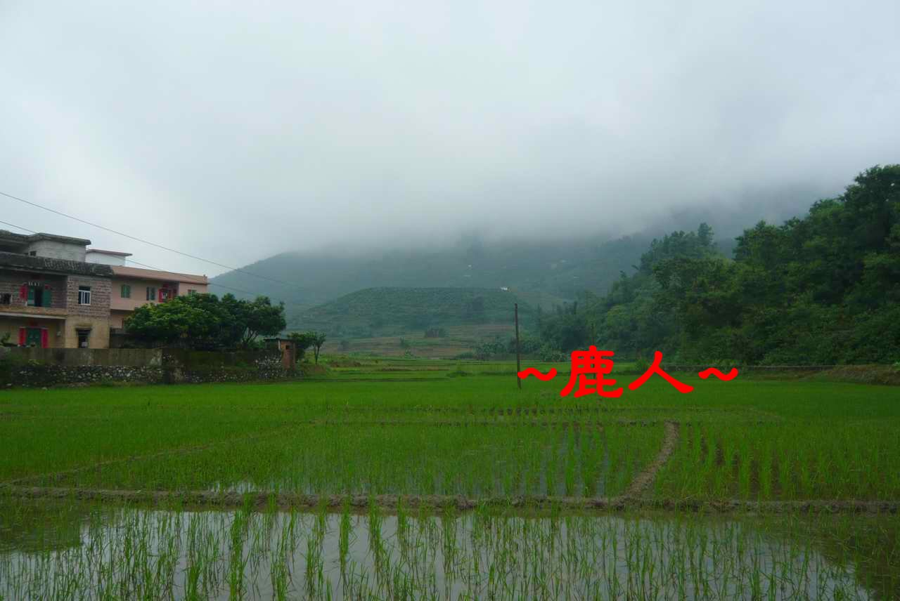 雲深不知處_2.JPG