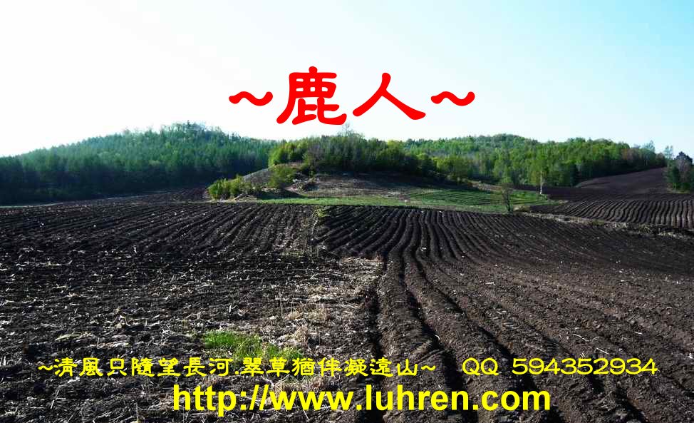 黑土下_1.JPG