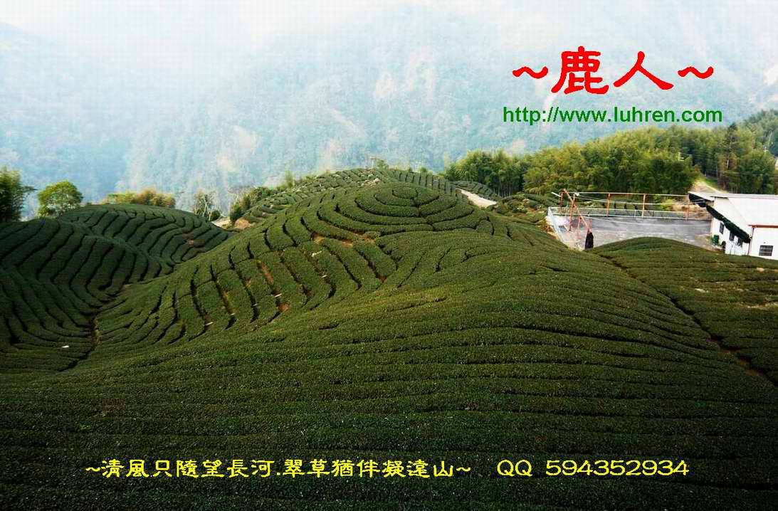 圓_2.JPG