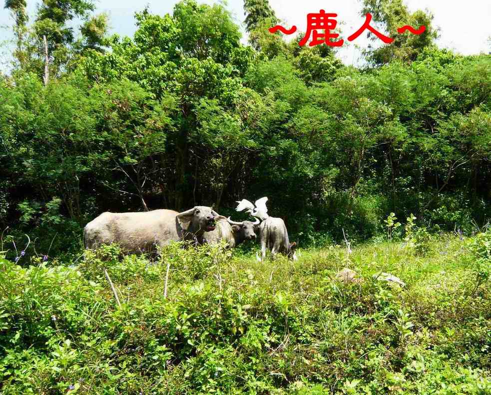 臺灣尾_恆春一卦地_22.JPG