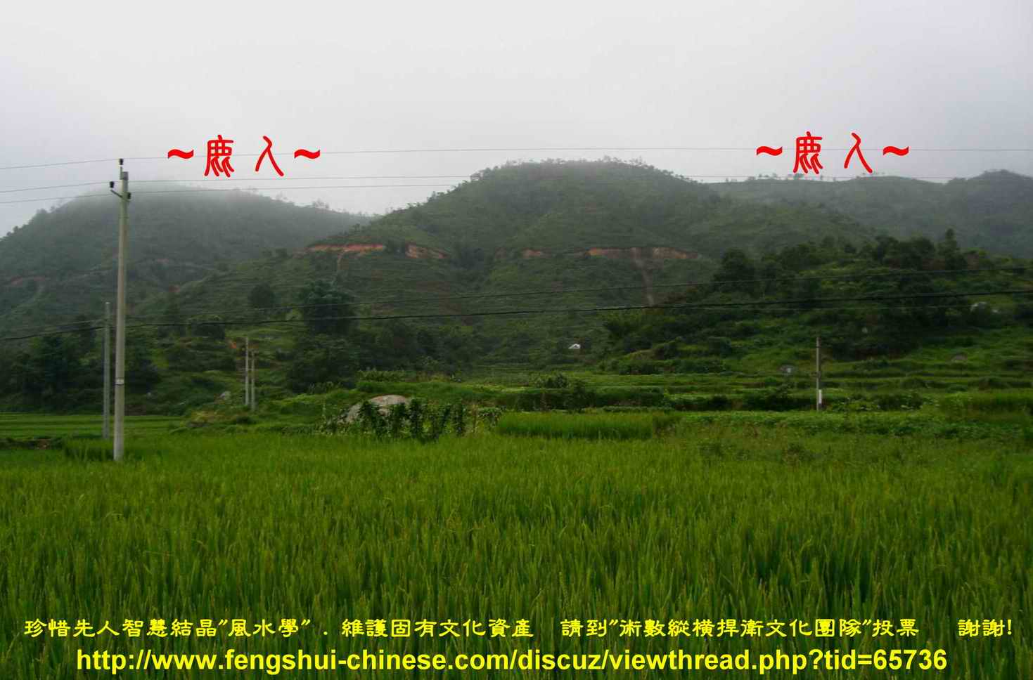 認脈_1.JPG