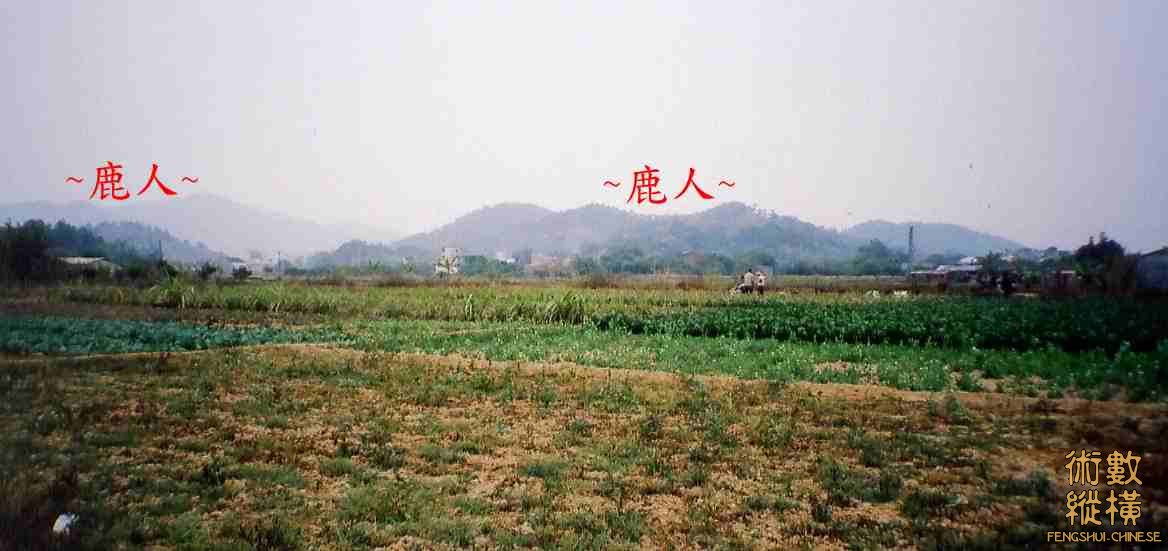 遠看少祖與行龍_2.jpg