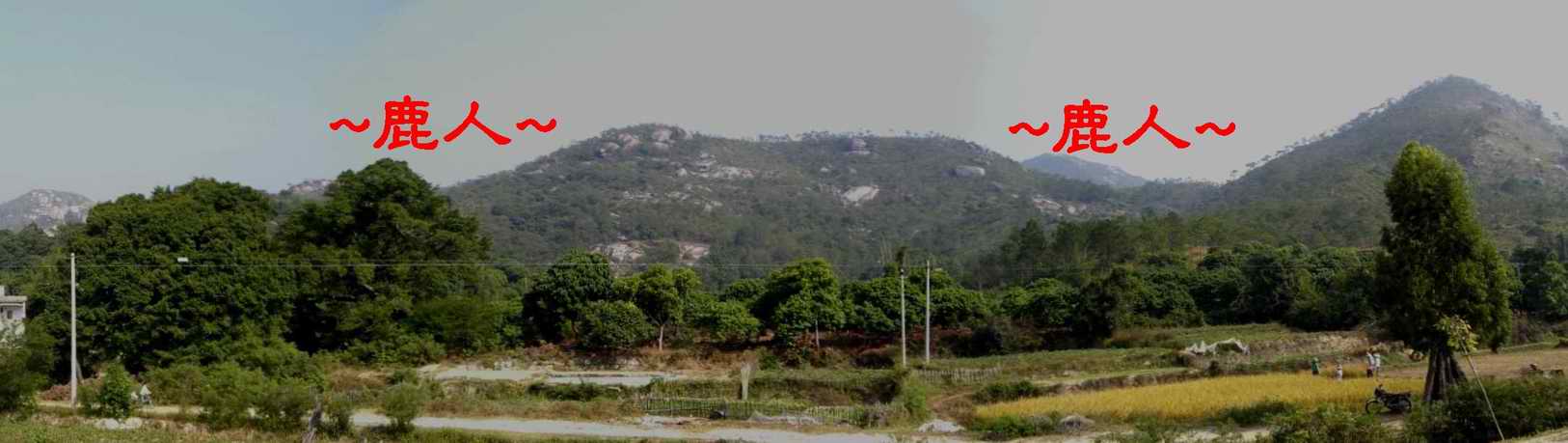 遠看穴山照.JPG
