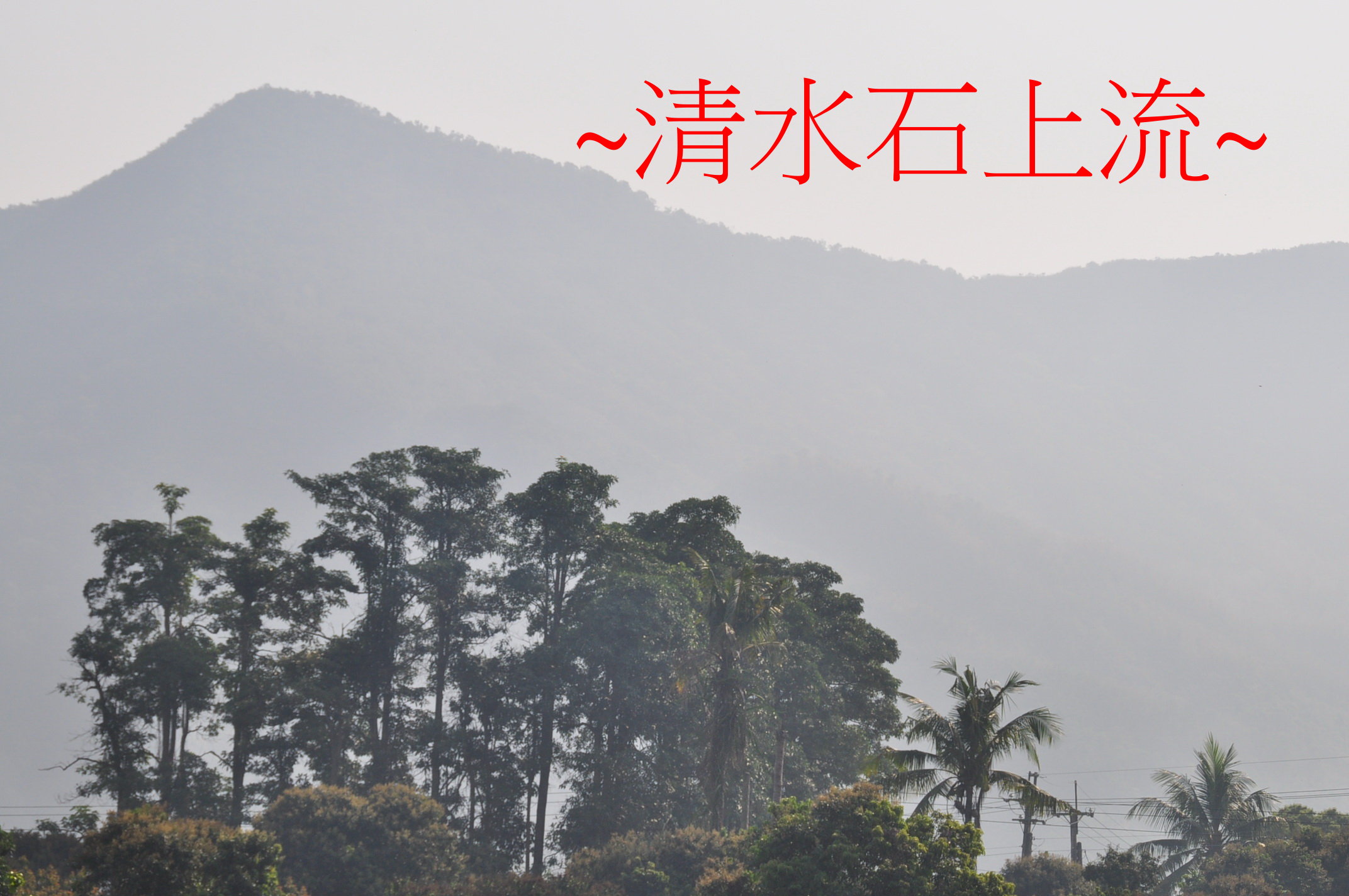 遠望少祖下脈.jpg
