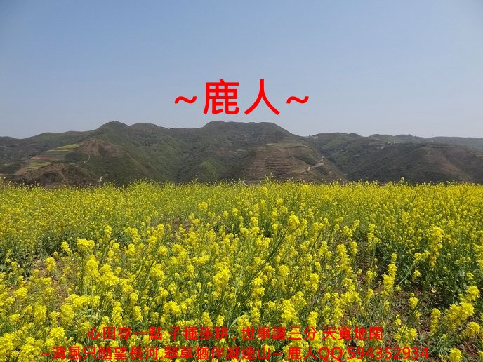 萬花叢中_02.JPG