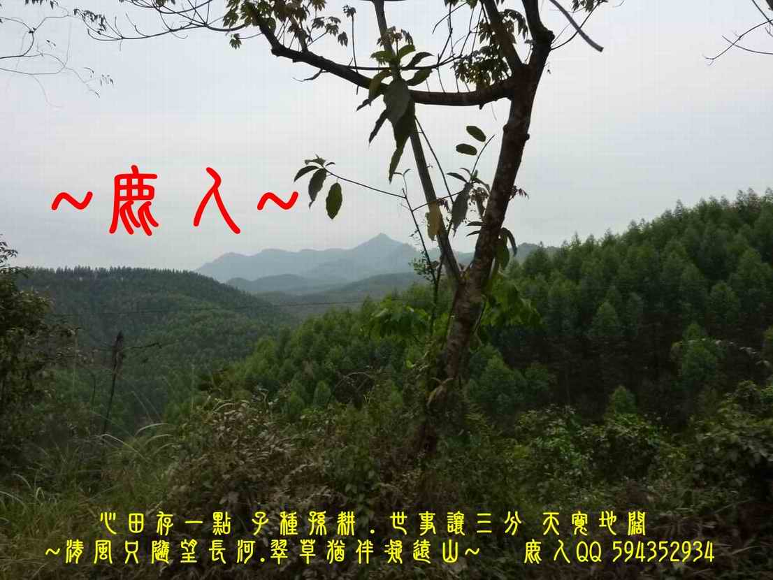 鳳凰山_01.JPG